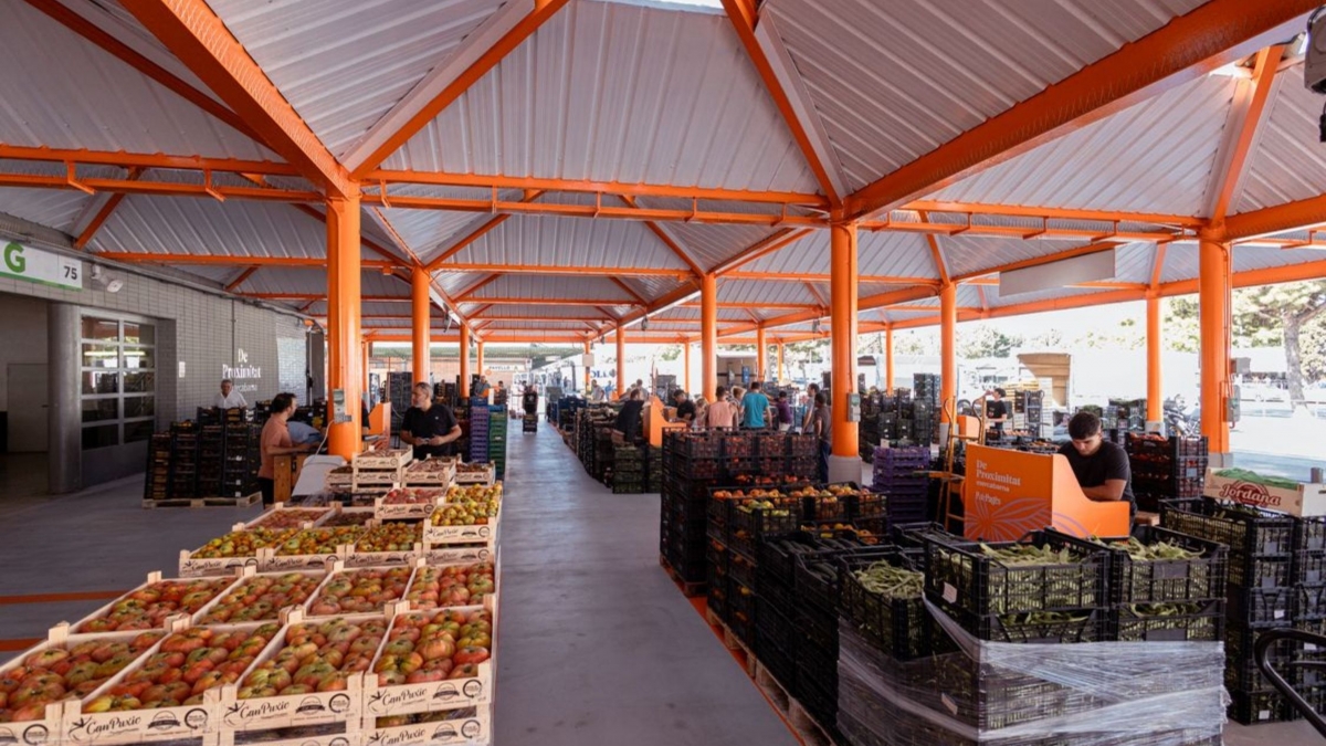 El buen comportamiento del negocio hortofrutícola compensó la evolución menos favorable de otras actividades.