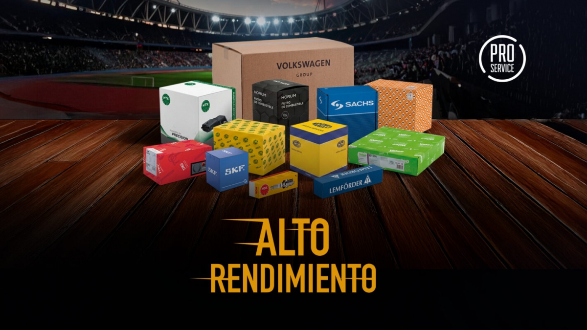 PRO Service activa 