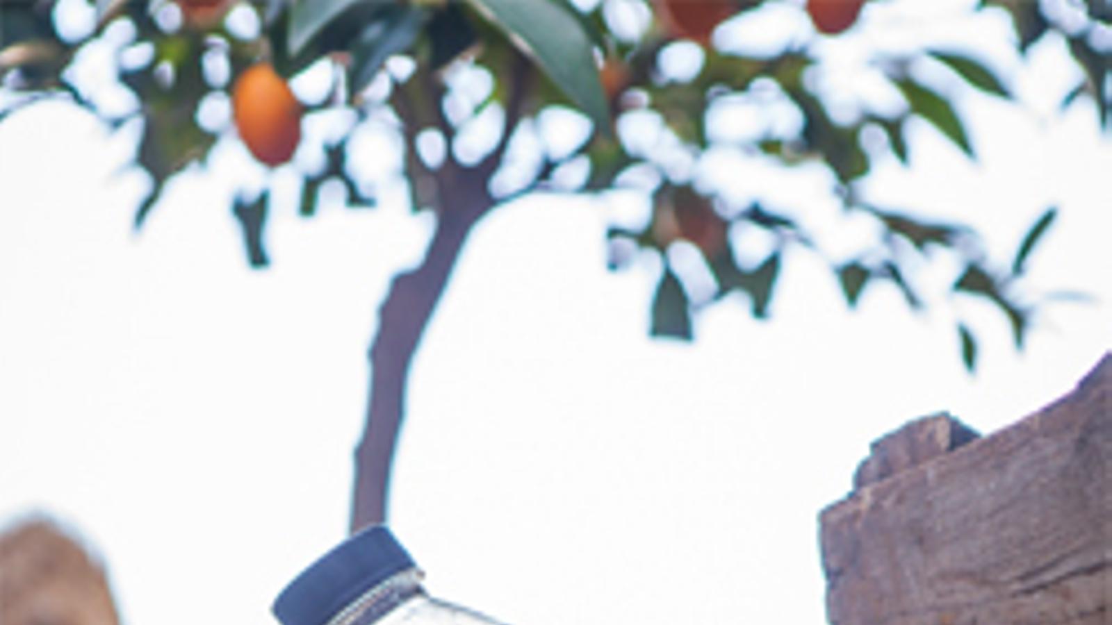 Zumosol naranja ecológica no lleva azúcares añadidos - 