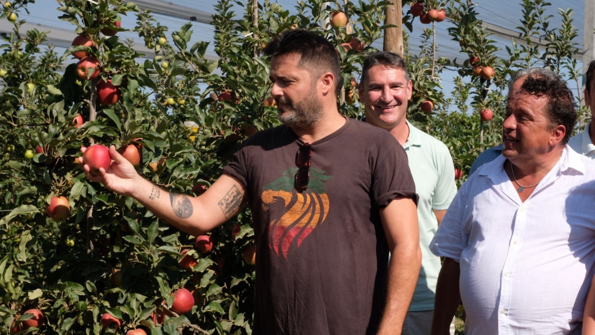Empieza la cosecha de Poma de Girona bajo el lema ‘Todo el año, manzanas de aquí’