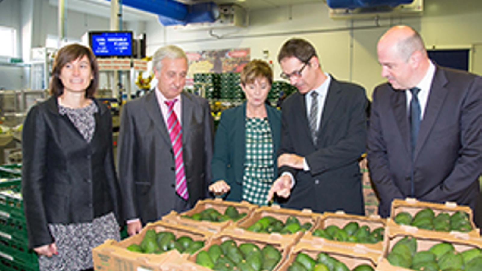 Eroski presenta su proyecto de fruta troceada y lista para comer
