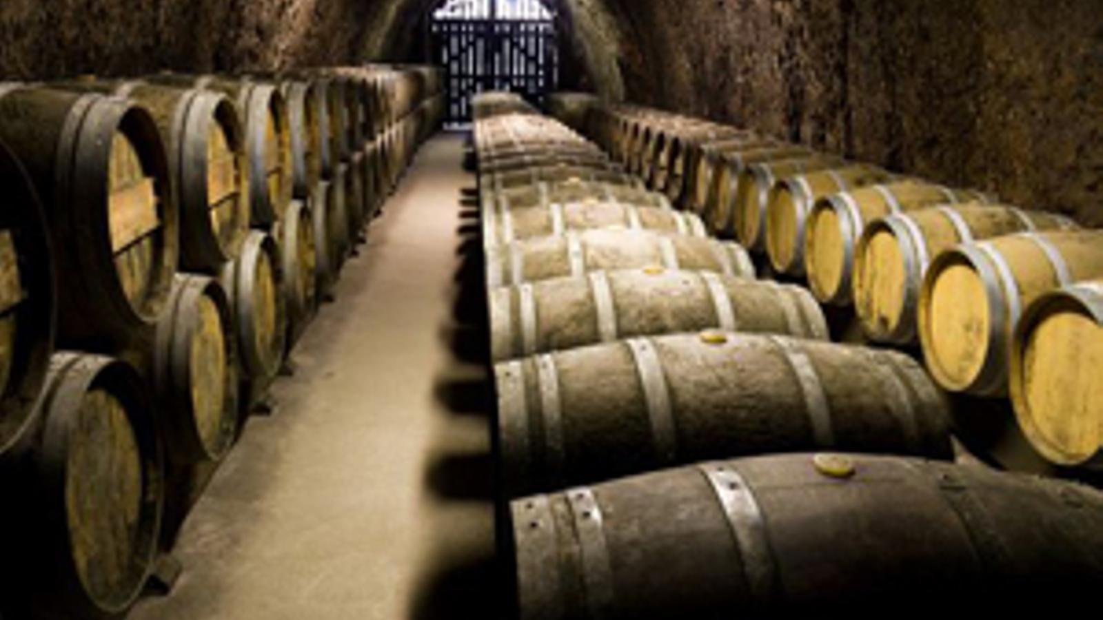 Publicados dos vídeos con las novedades normativas en el sector del vino - 