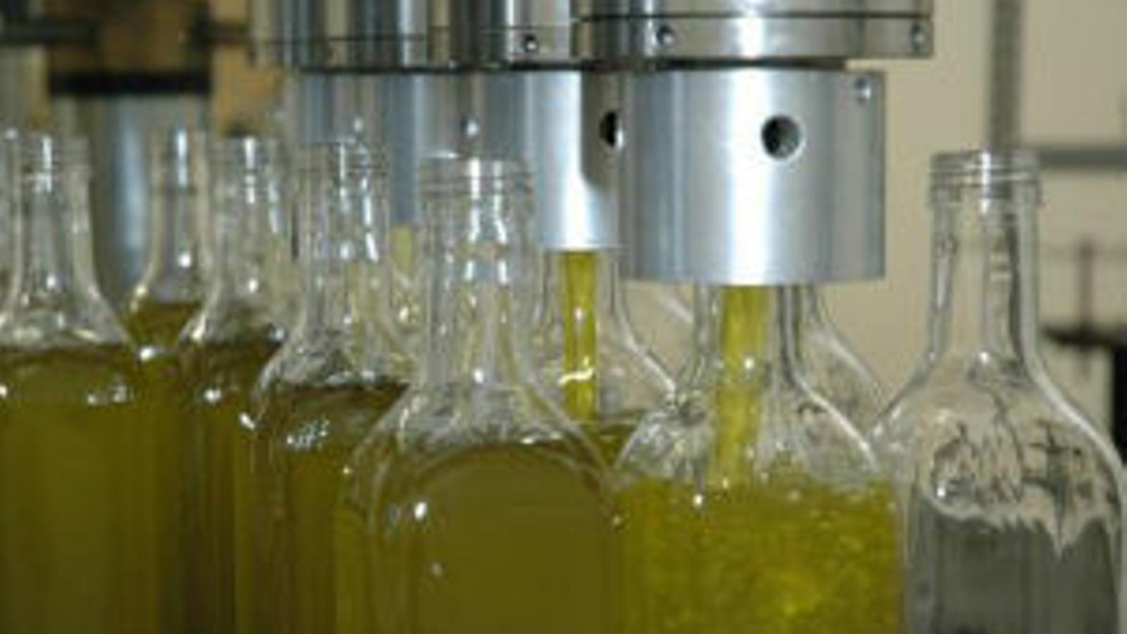 La producción de aceite de oliva se dispara en un año