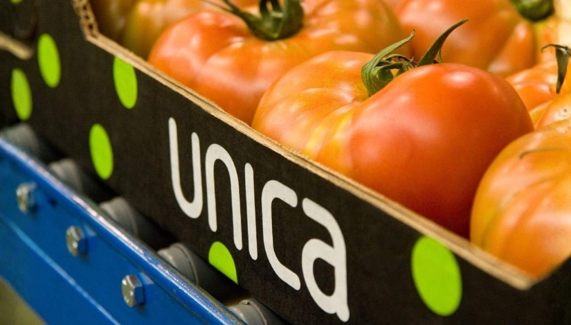 Unica alcanza 902 millones de negocio y aprueba el mayor programa operativo de toda la UE