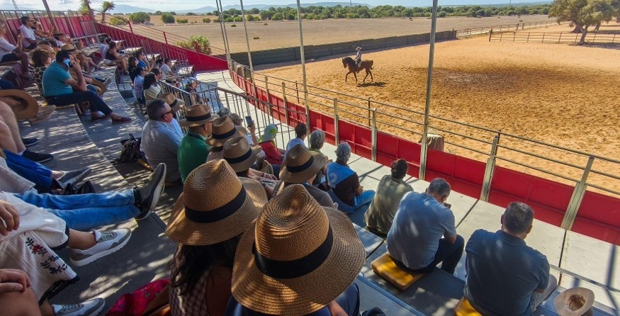 Los asistentes disfrutaron de exhibiciones de doma a caballo y con el manejo de las reses bravas.