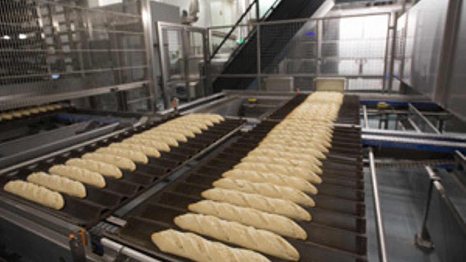 Berlys invierte más para innovar y diversificar su gama de productos