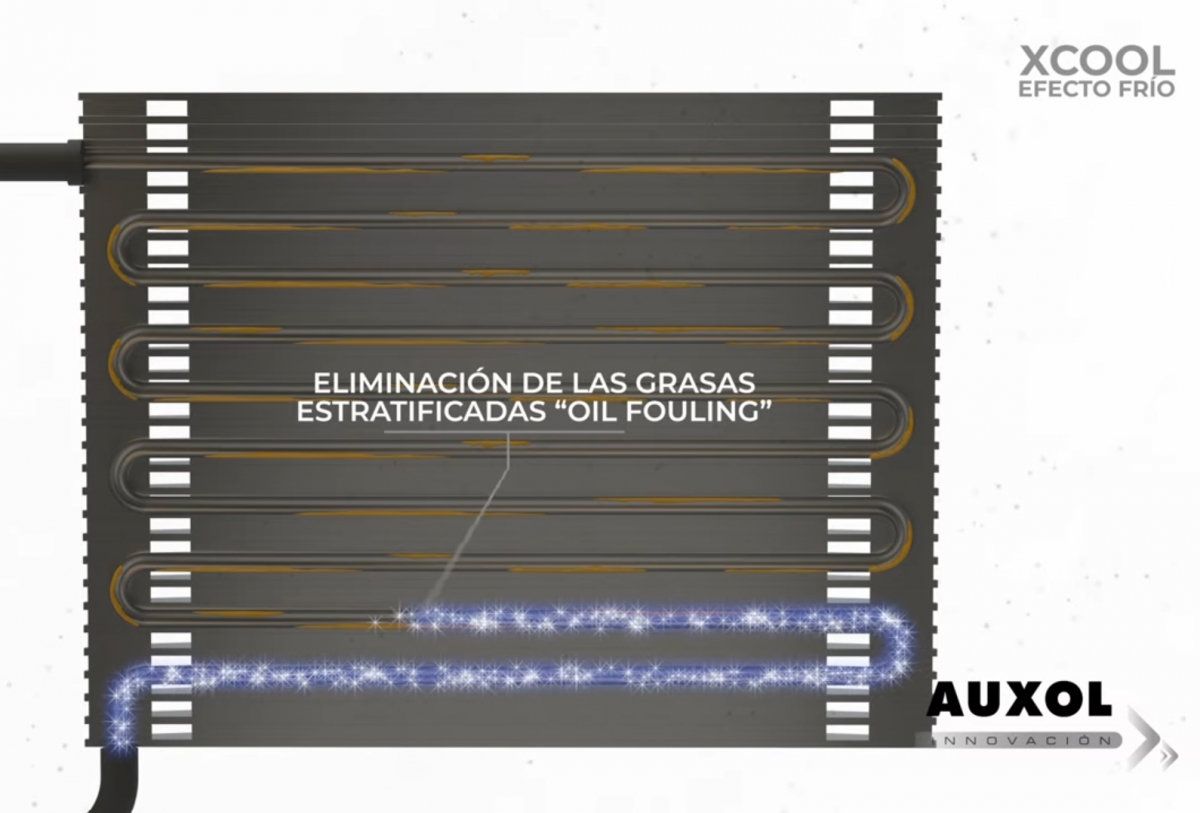 Captura tomada del vídeo titulado 