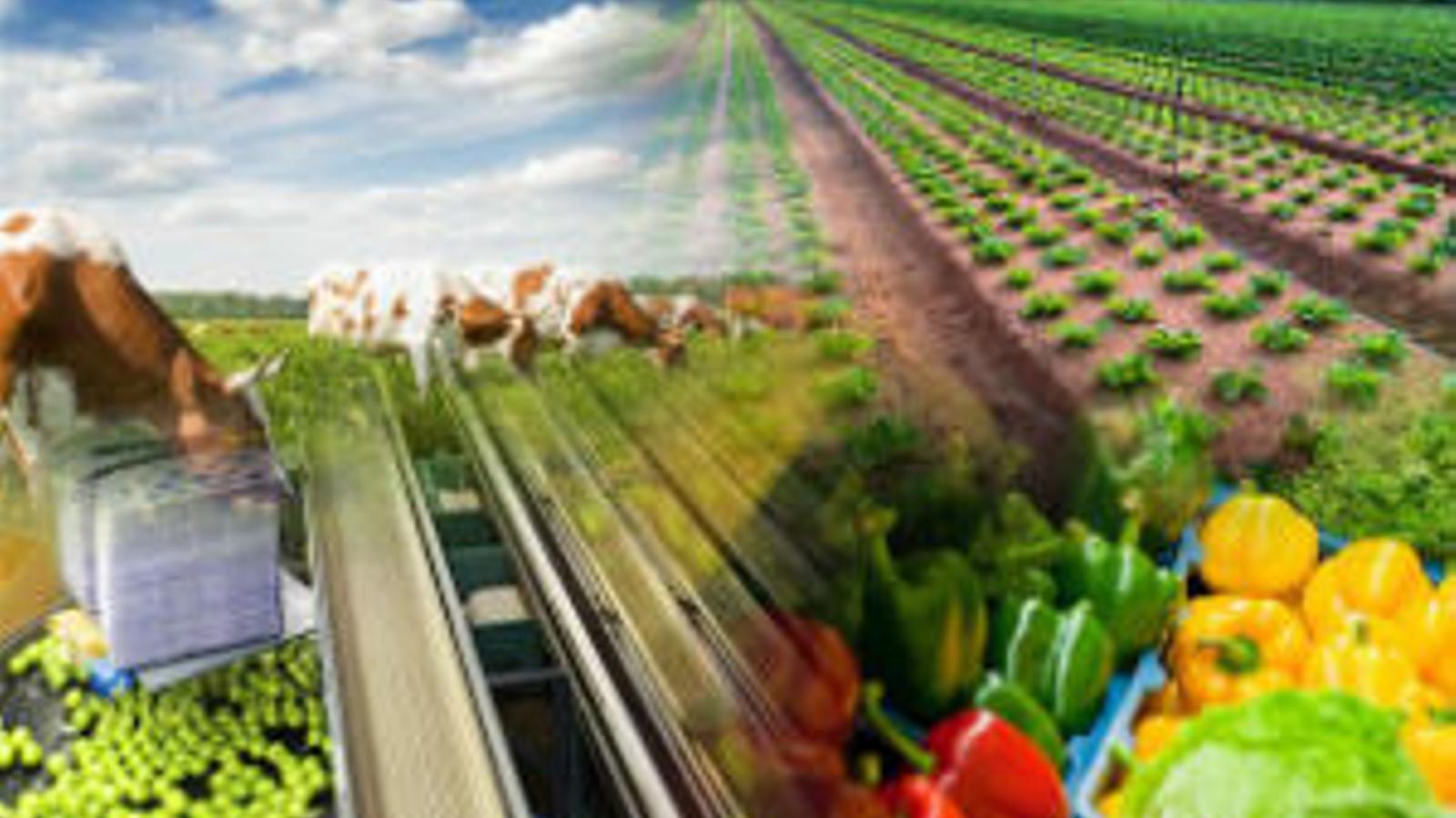 El Código de Buenas Prácticas Mercantiles cumple su primer año