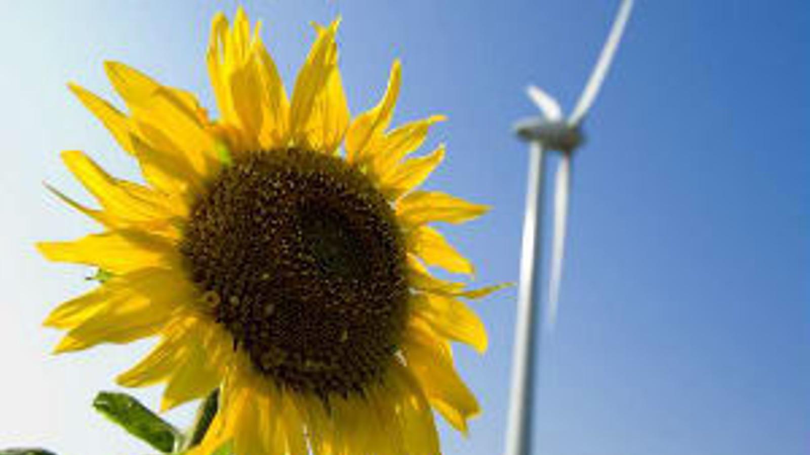 Tetra Pak reducirá hasta en un 40% su emisión de gases efecto invernadero - 