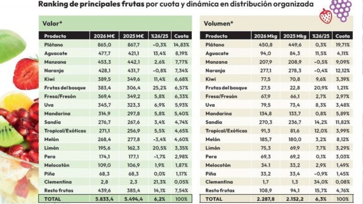 TAM agosto 2026. Total España canal físico (Híper + Súper>100m2 + PDM). Fuente FRS con datos Circana