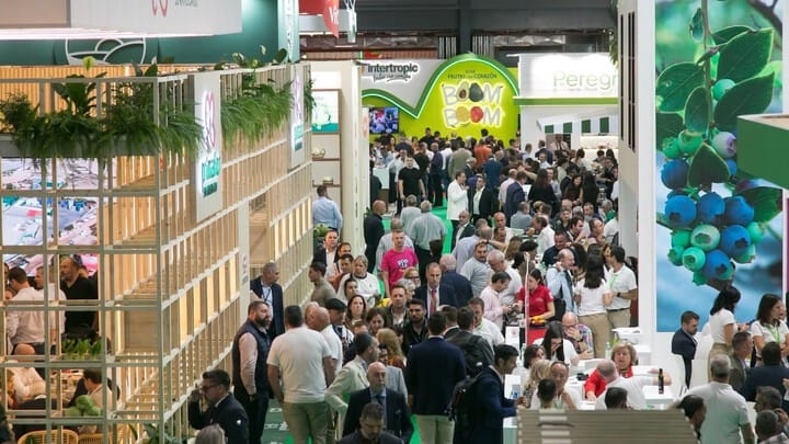 Fruit Attraction 2026: récord de asistencia y nuevos retos para la distribución de frescos