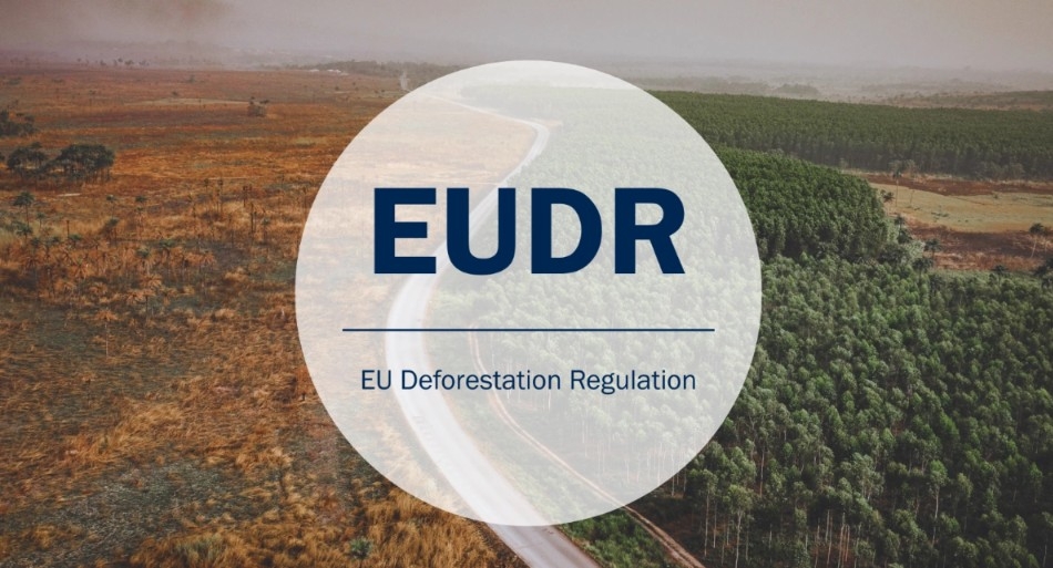 Todo lo que el taller debe conocer sobre el inminente reglamento EUDR para neumáticos sobre deforestación