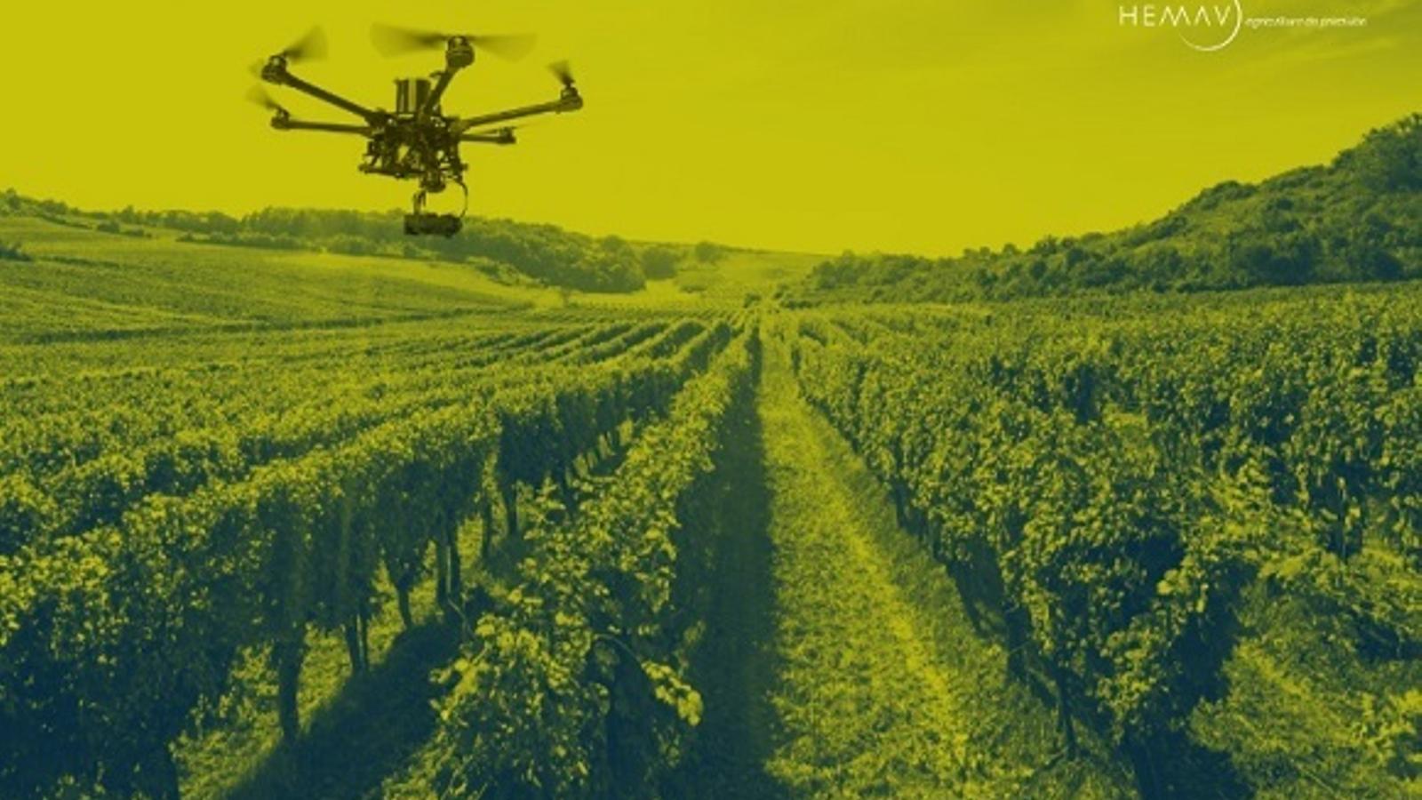 Bodegas Lahoz utiliza drones para mejorar su producción