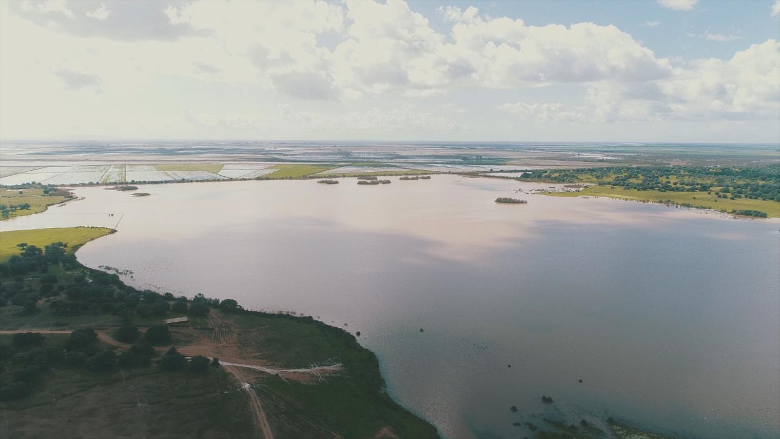 Heineken España, ejemplo visible de cómo ahorrar agua