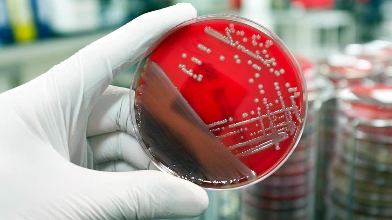 Técnico en un laboratorio - Archivo