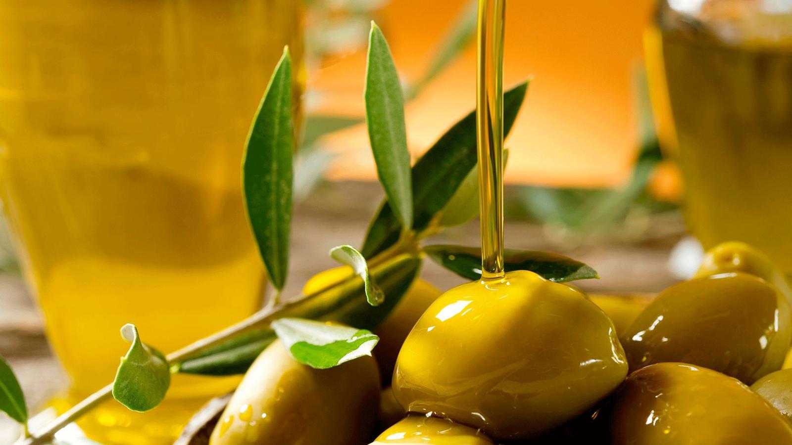 Aceite de oliva y aceitunas - Archivo