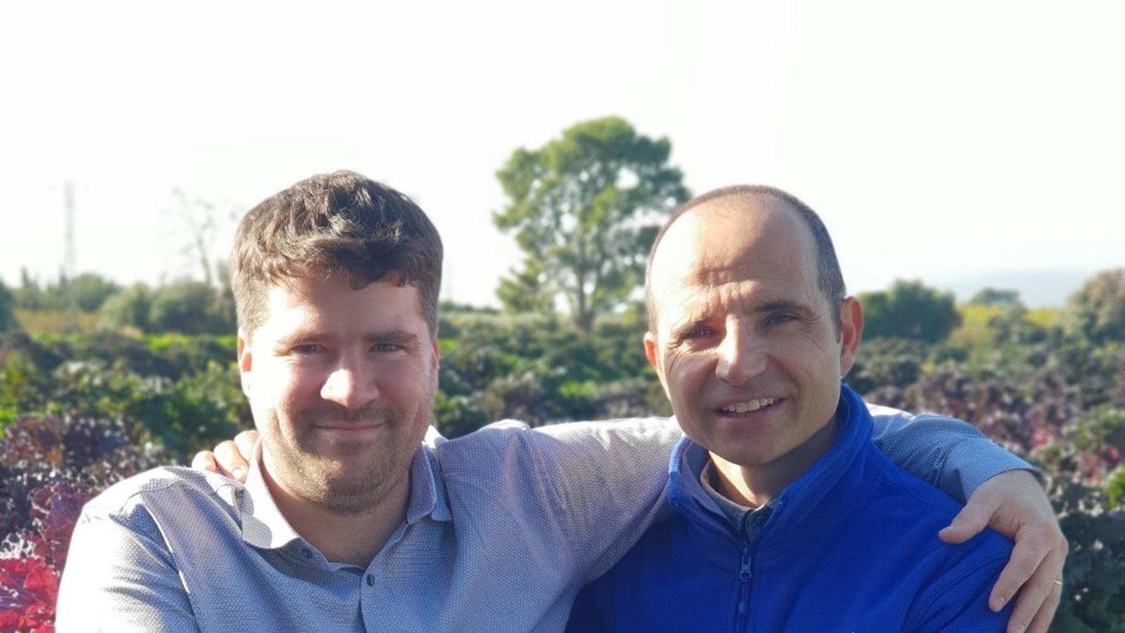 La 'superverdura' Kalettes vuelve al lineal de Carrefour