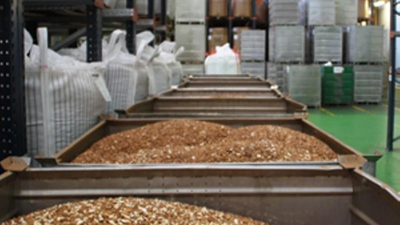 Borges cierra el ejercicio con su récord histórico de facturación