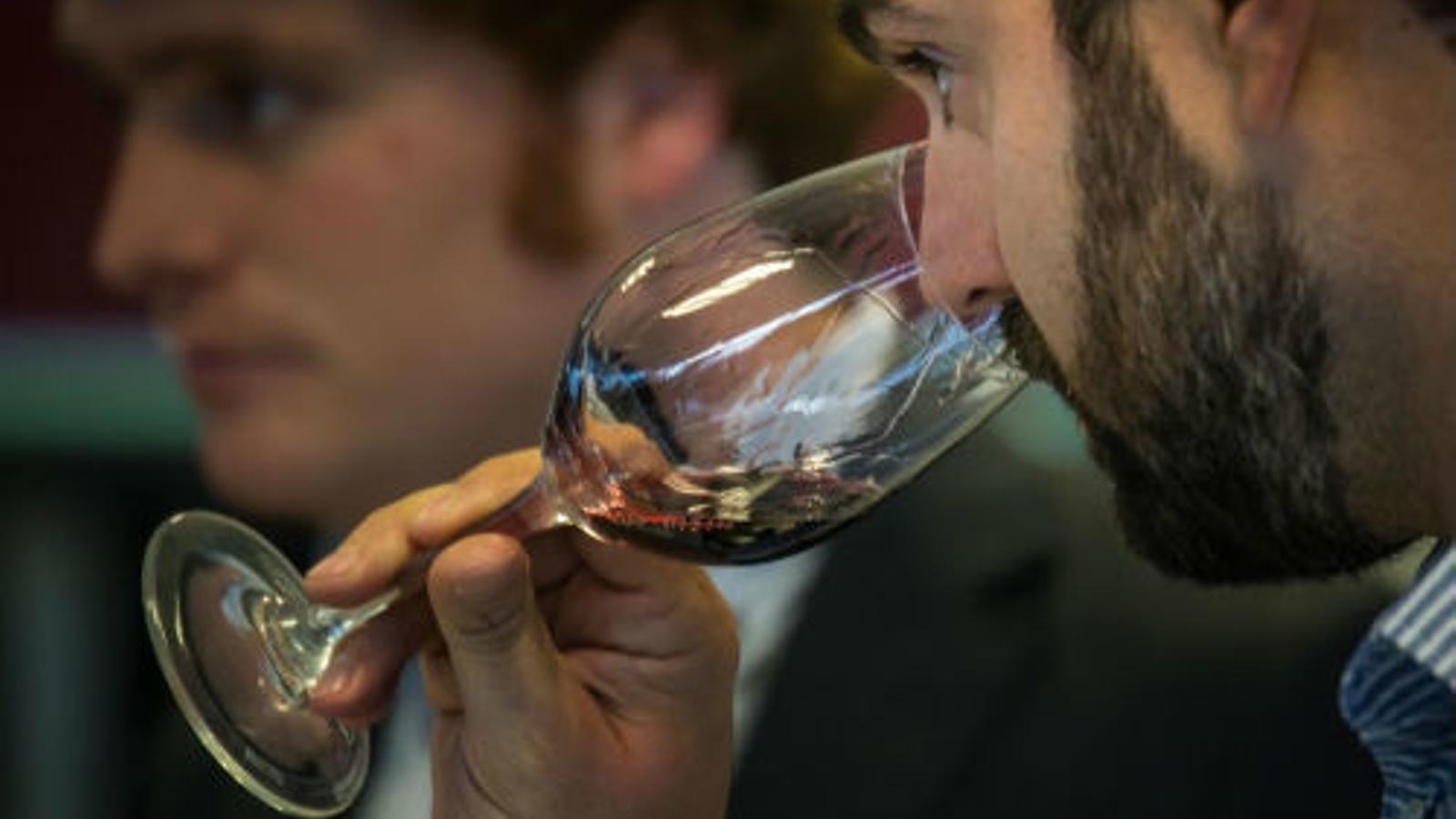 Los vinos de Valdemar conquistan EE.UU con sus caldos premium