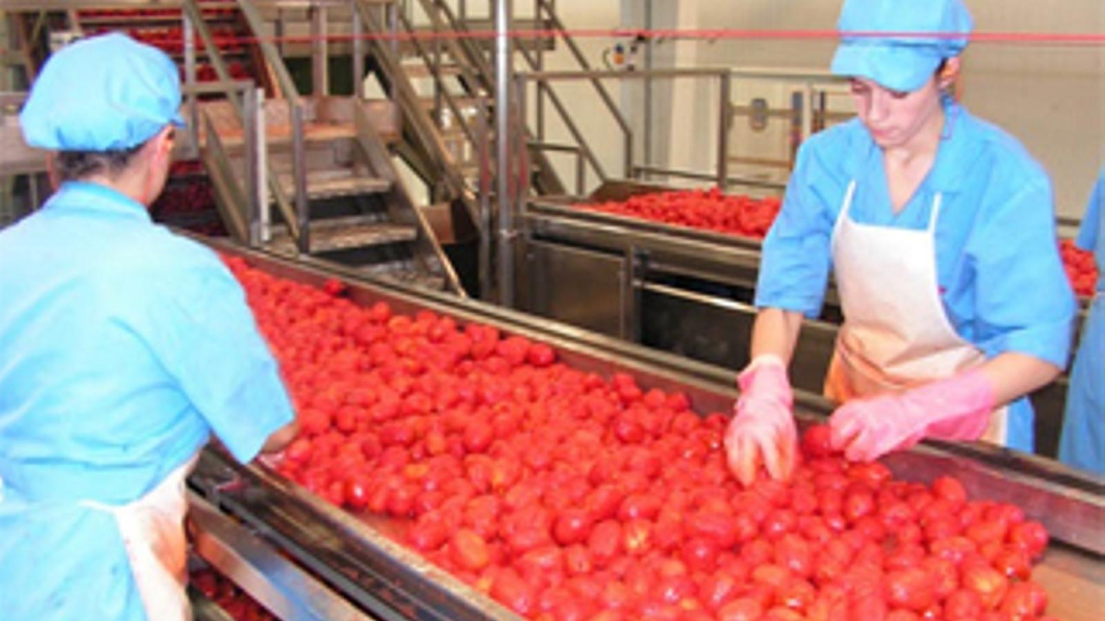 La industria de alimentación y bebidas generó el 2% más de empleo en 2014 - 