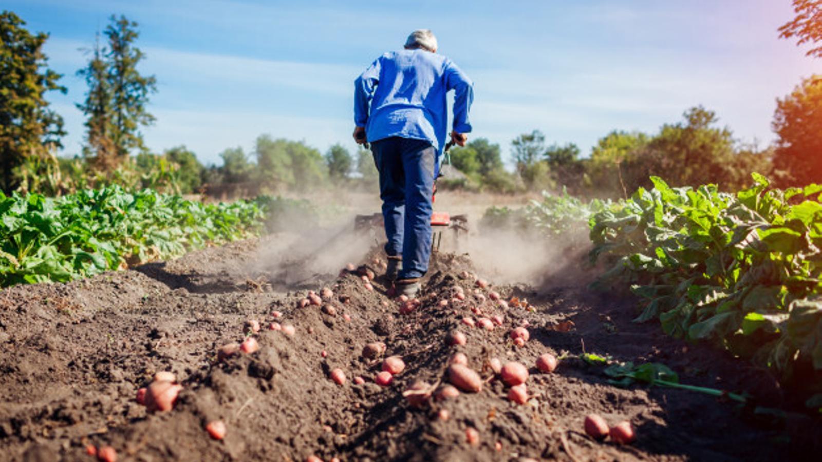 Los agricultores ganaron el 9% más en abril y sus costes subieron el 8,7% - Archivo