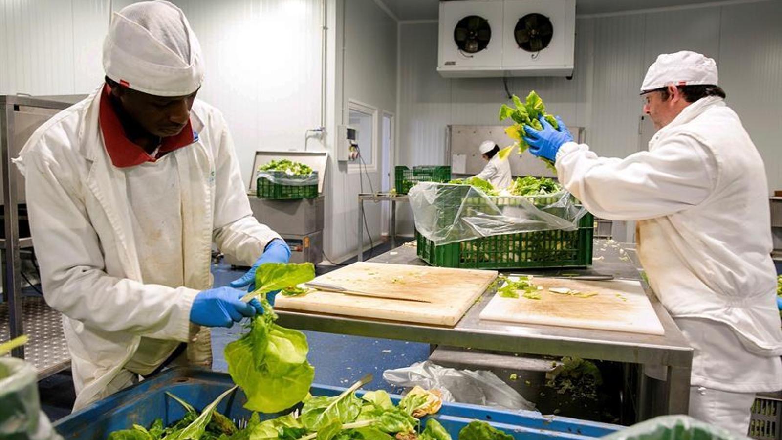 La producción de la industria alimentaria aumentó el 1,9% en febrero
