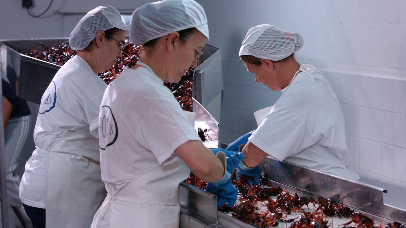 Las ventas de la industria alimentaria crecieron el 10,1% en septiembre