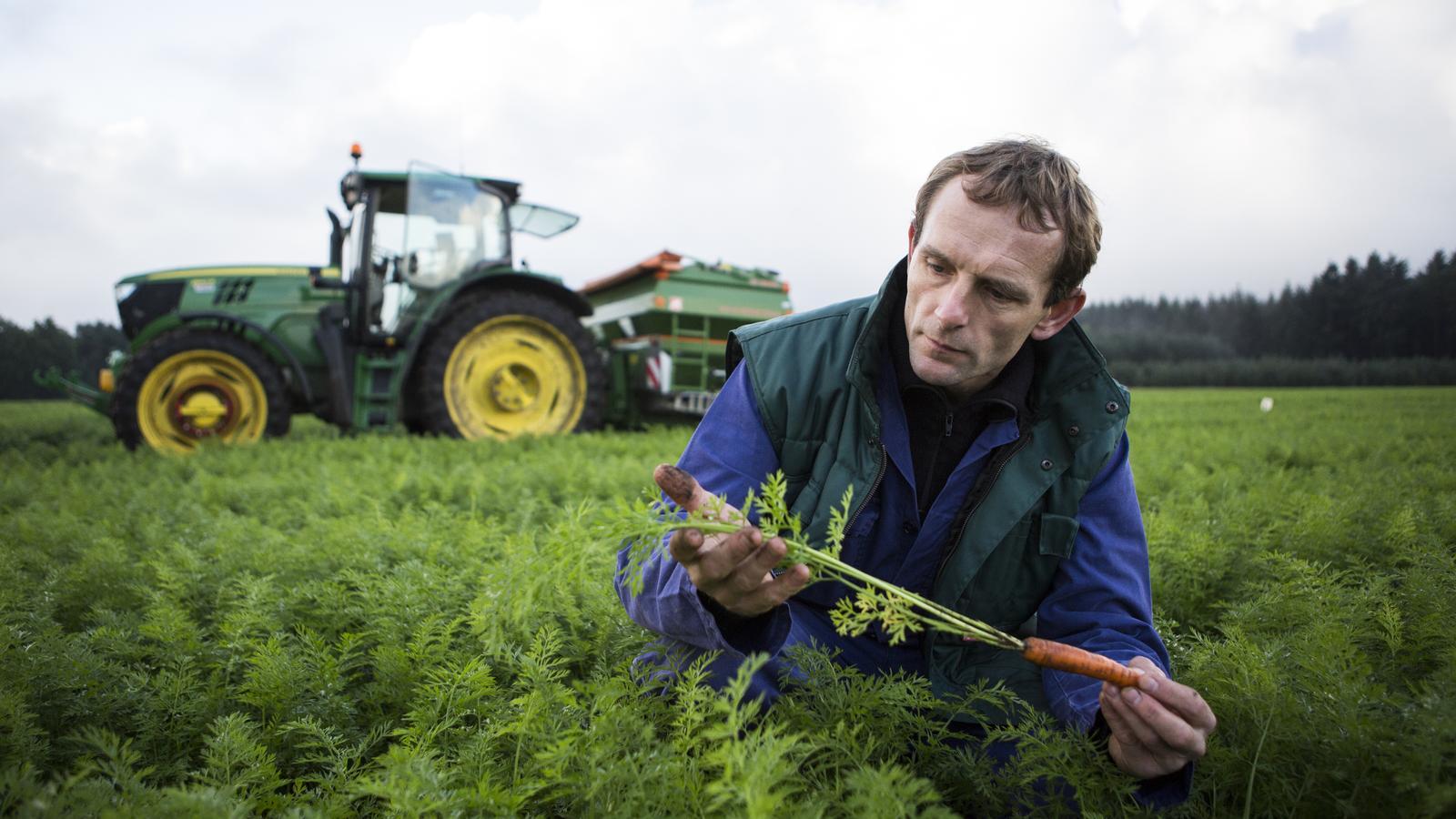 Una agricultura 100% ecológica compromete la independencia alimentaria de UE