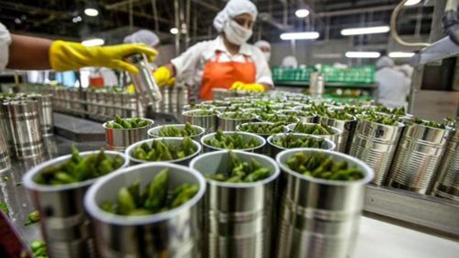 Industria alimentaria - Archivo