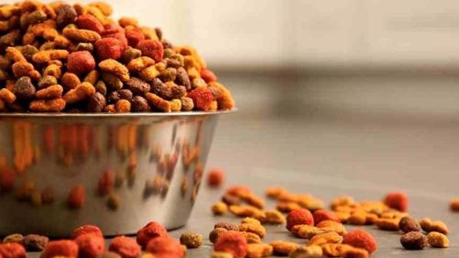 Los piensos para perros de Alcampo y Aldi, entre los mejores, según la OCU