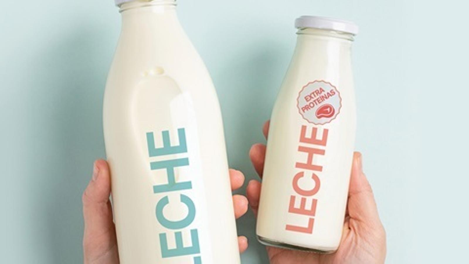 La OCU lanza una advertencia contra la quimera de las proteínas