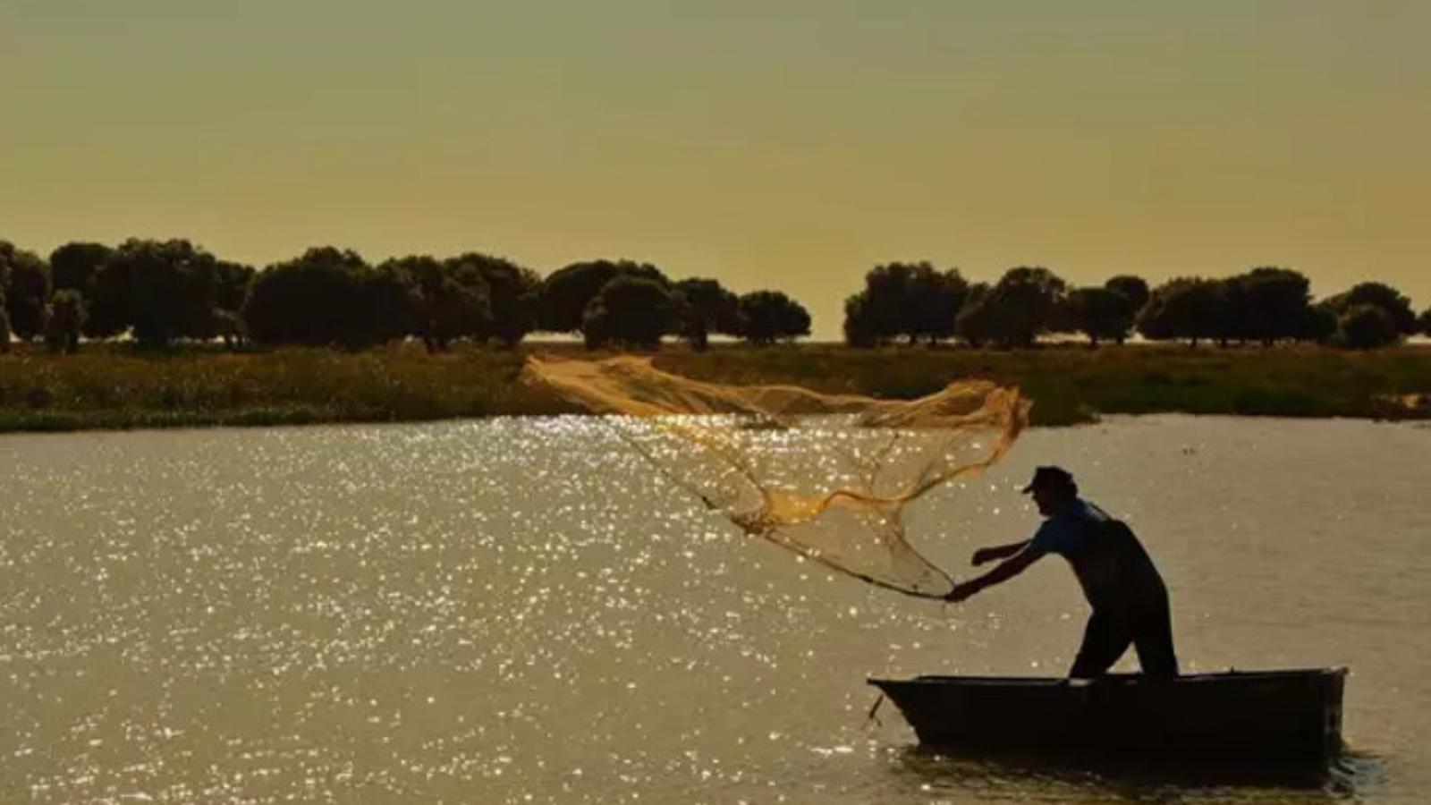 Pesca de estero - Carrefour
