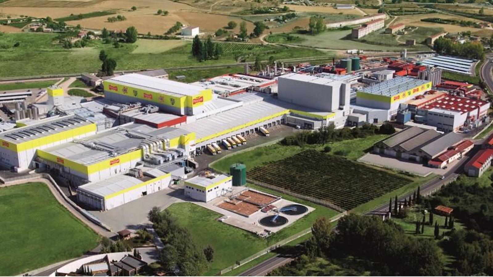 El sector de la cogeneración pide tiempo al Gobierno para evitar su caída - 