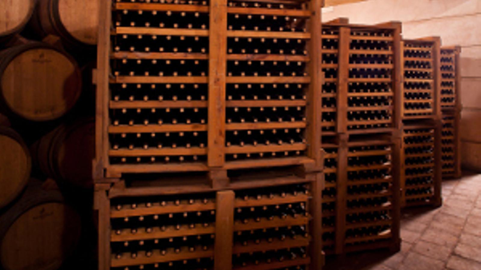 La D.O. Valdepeñas lanza al mercado sus vinos jóvenes 2012