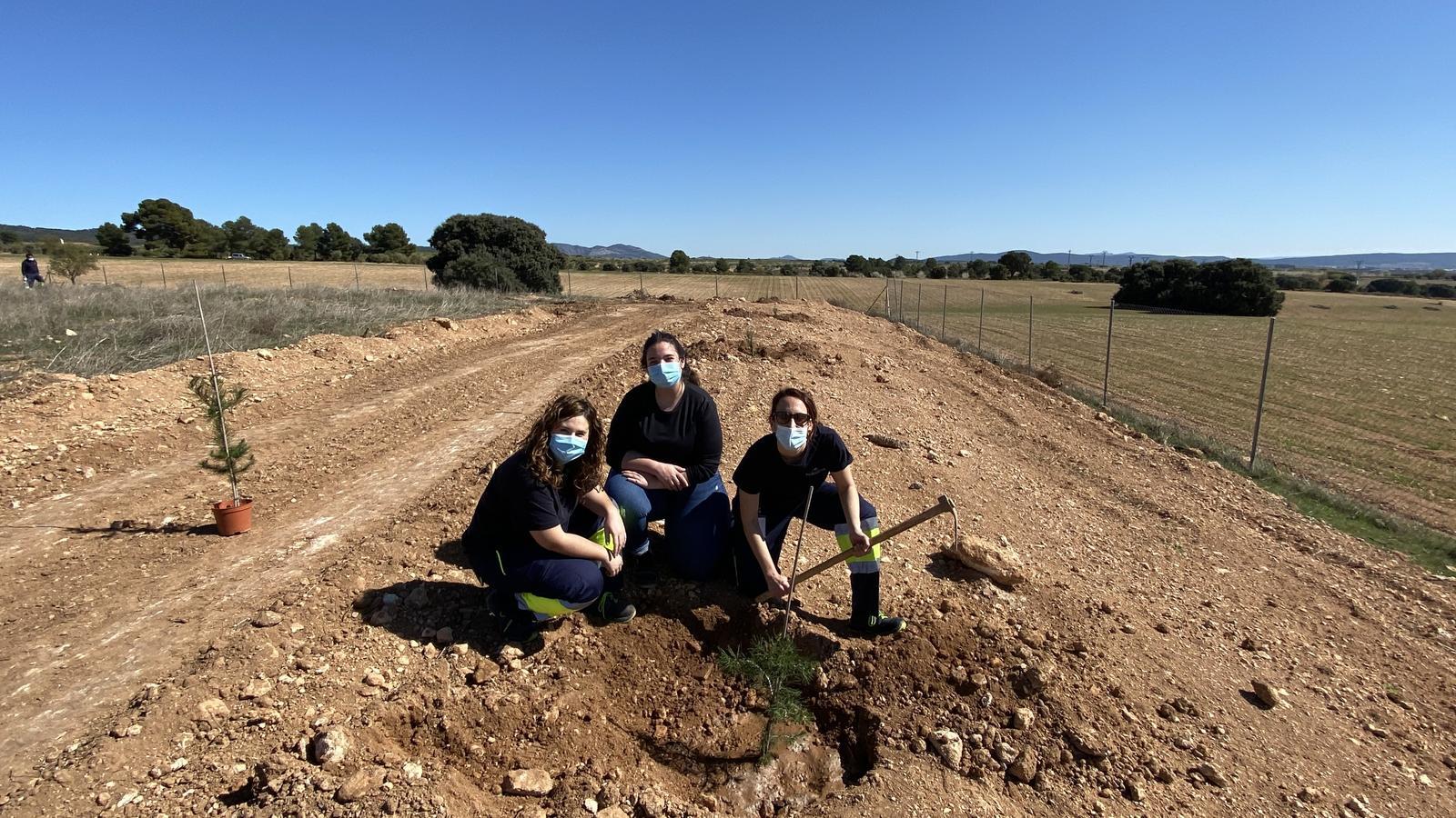 Agua Mineral San Benedetto celebra el Día del Árbol repoblando sus bosques