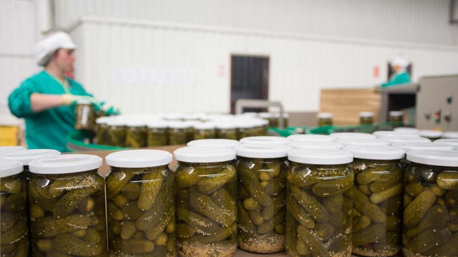 Végola consolida su compromiso con La Rioja apoyando su crecimiento en la sostenibilidad y la innovación