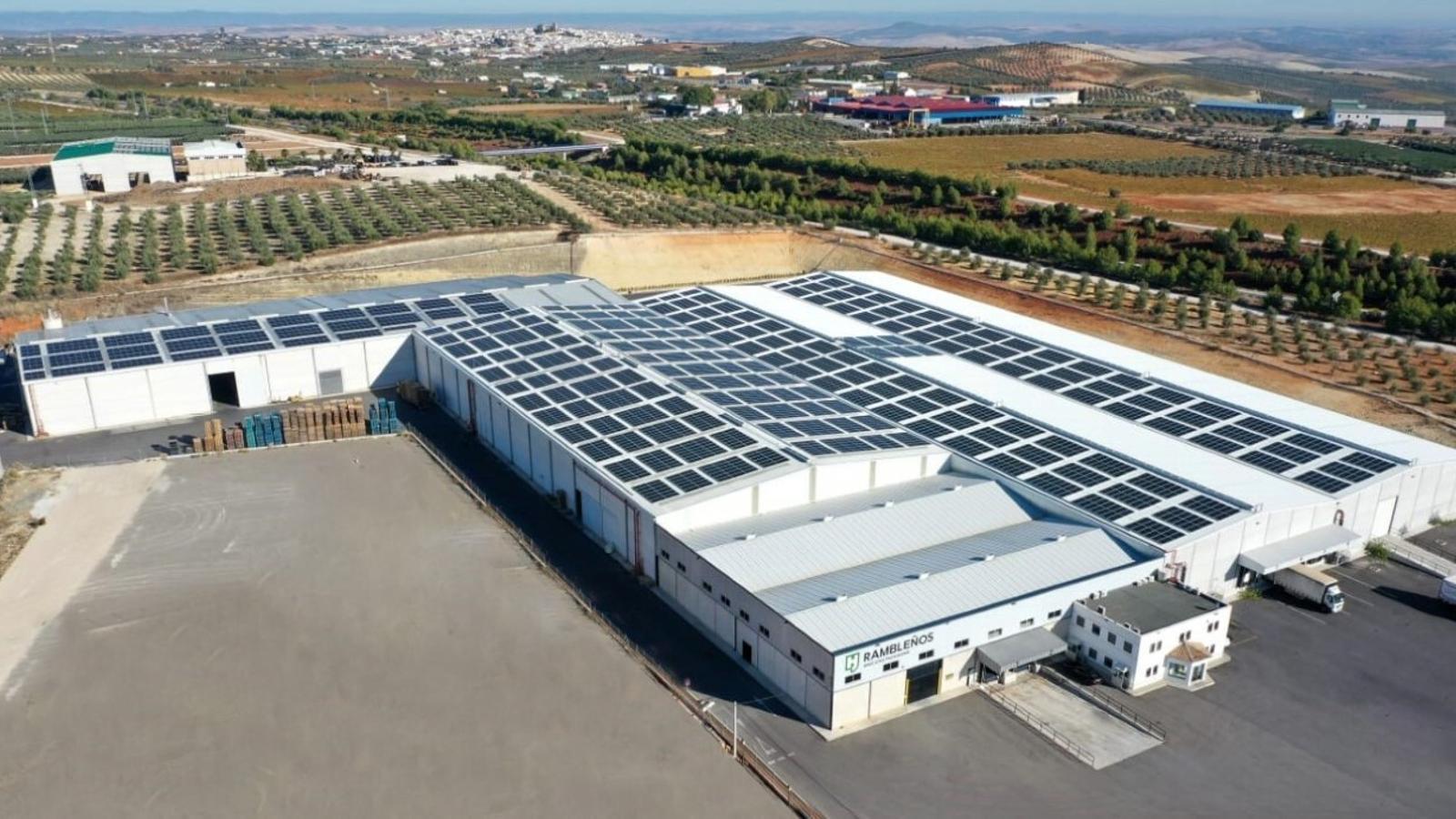 Hinojosa facturó 430 millones de euros en 2020 gracias al online y la alimentación