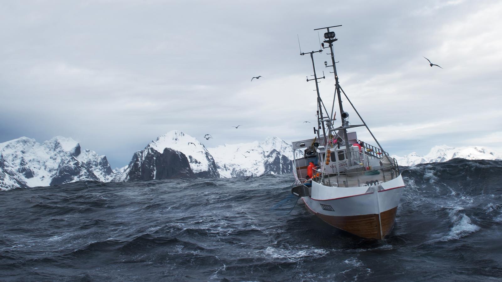 Las exportaciones de productos del mar noruegos alcanzan un máximo histórico en marzo - 
