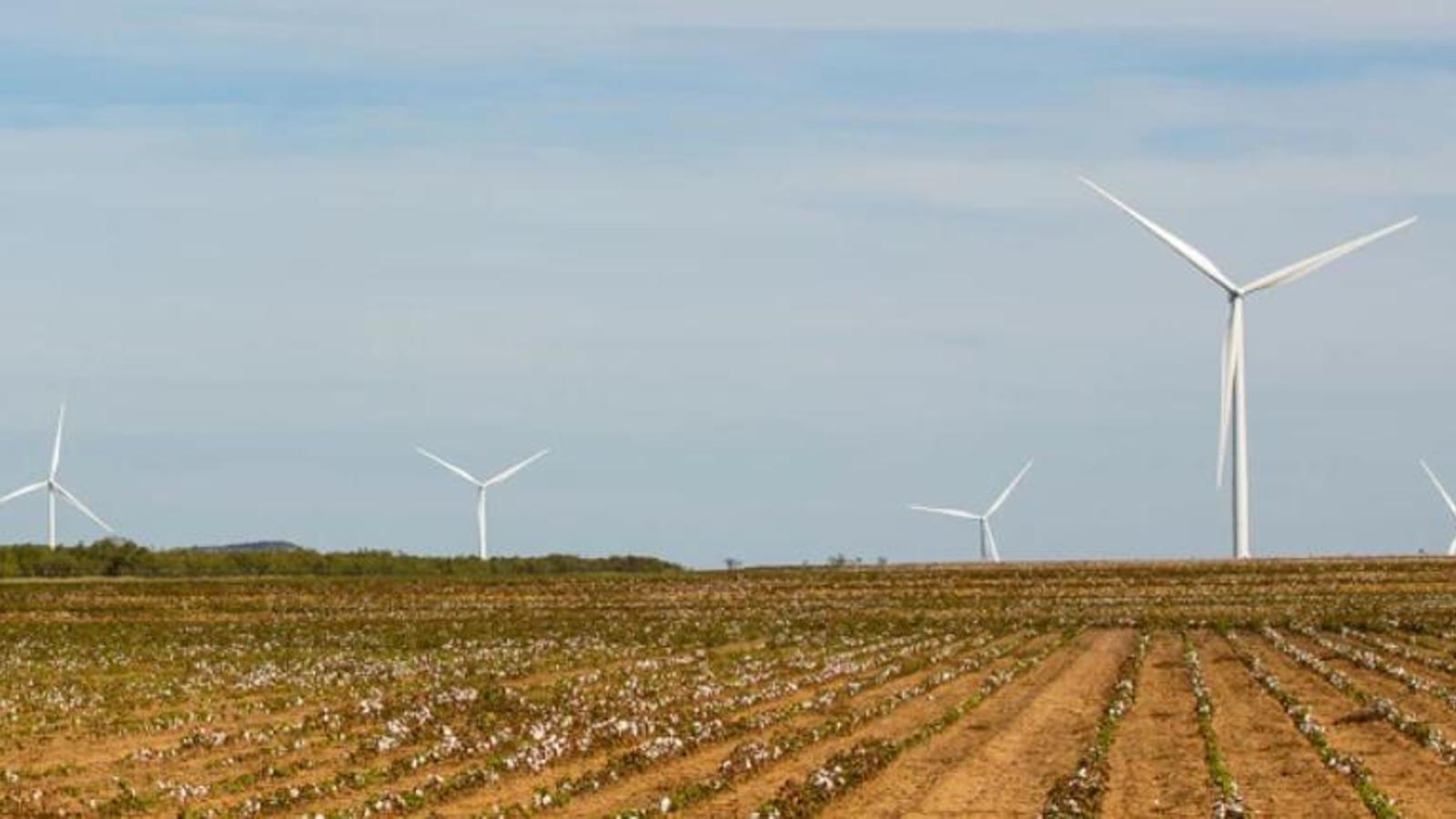 Amazon presenta nuevos proyectos de energía solar en Extremadura y Andalucía - 