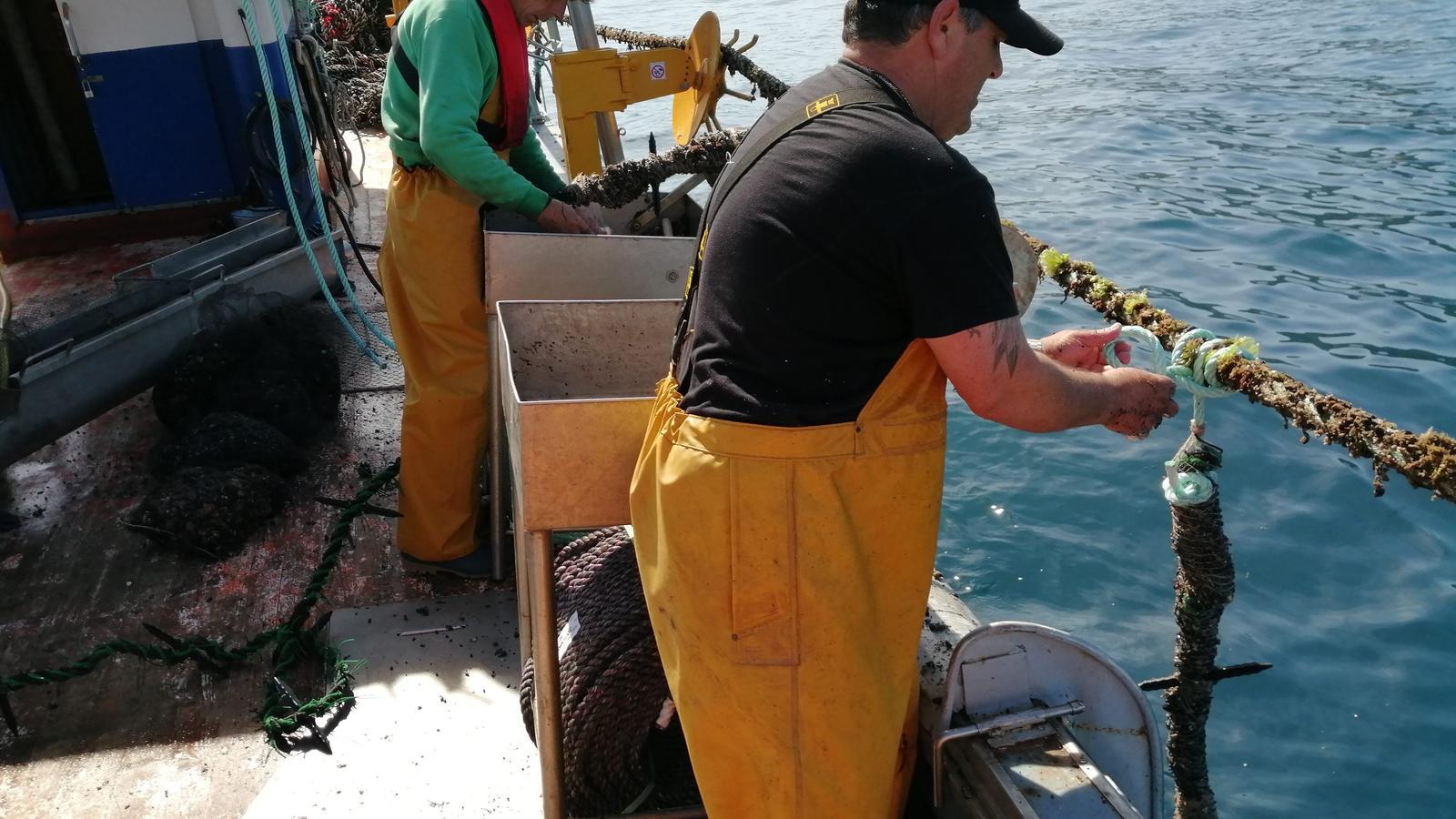 Destapan un fraude en el etiquetado de pescado congelado de caladeros africanos