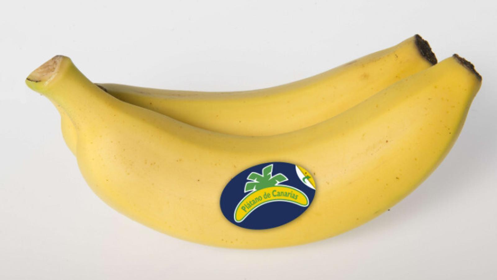 Los productores de Plátanos de Canarias celebran la aprobación de la 'enmienda canaria'