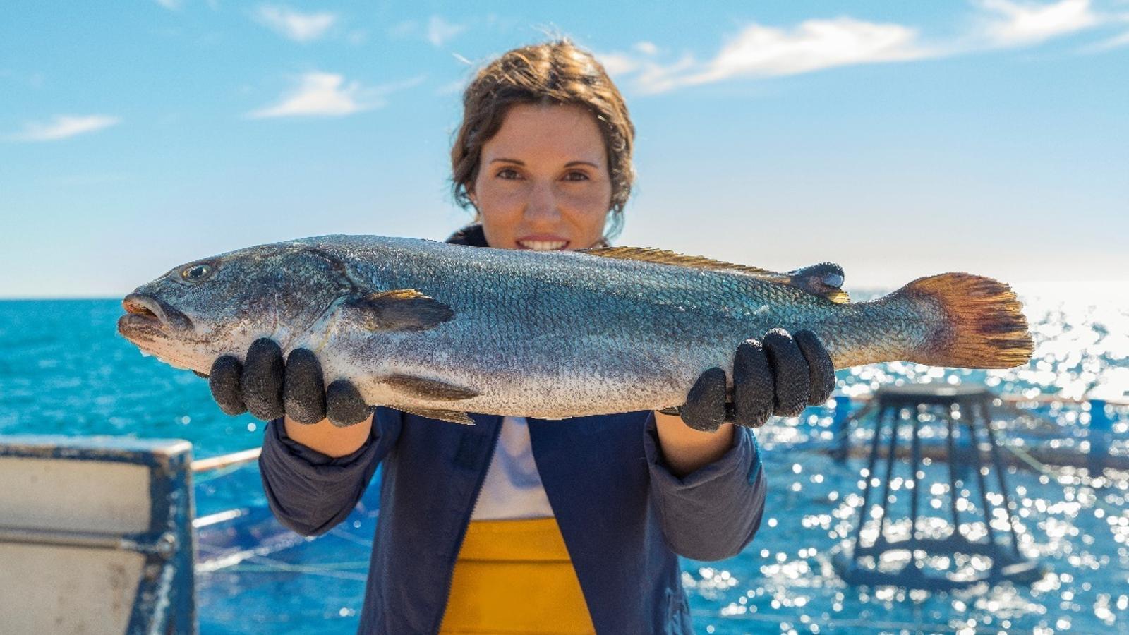 AVRAMAR consolida su liderazgo en el Mediterráneo