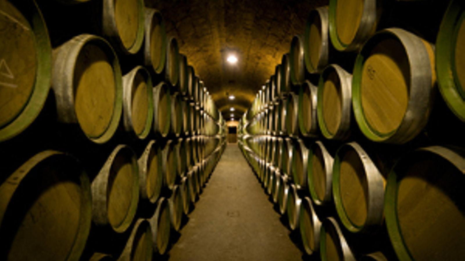El precio de visitar una bodega en España ronda los 7 euros
