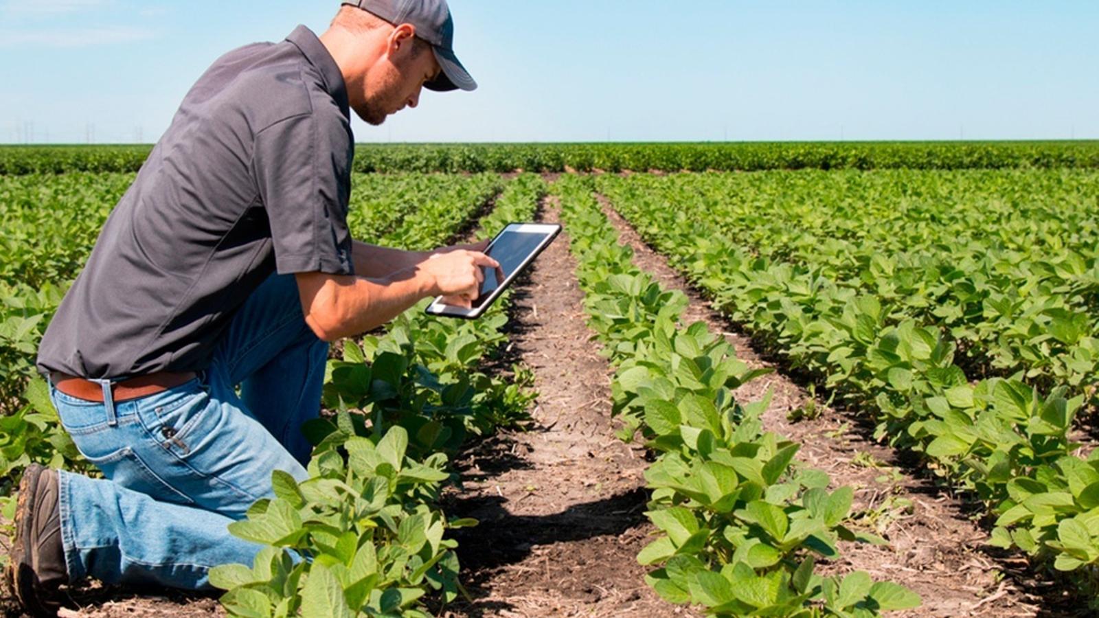 Un Perte agroalimentario 