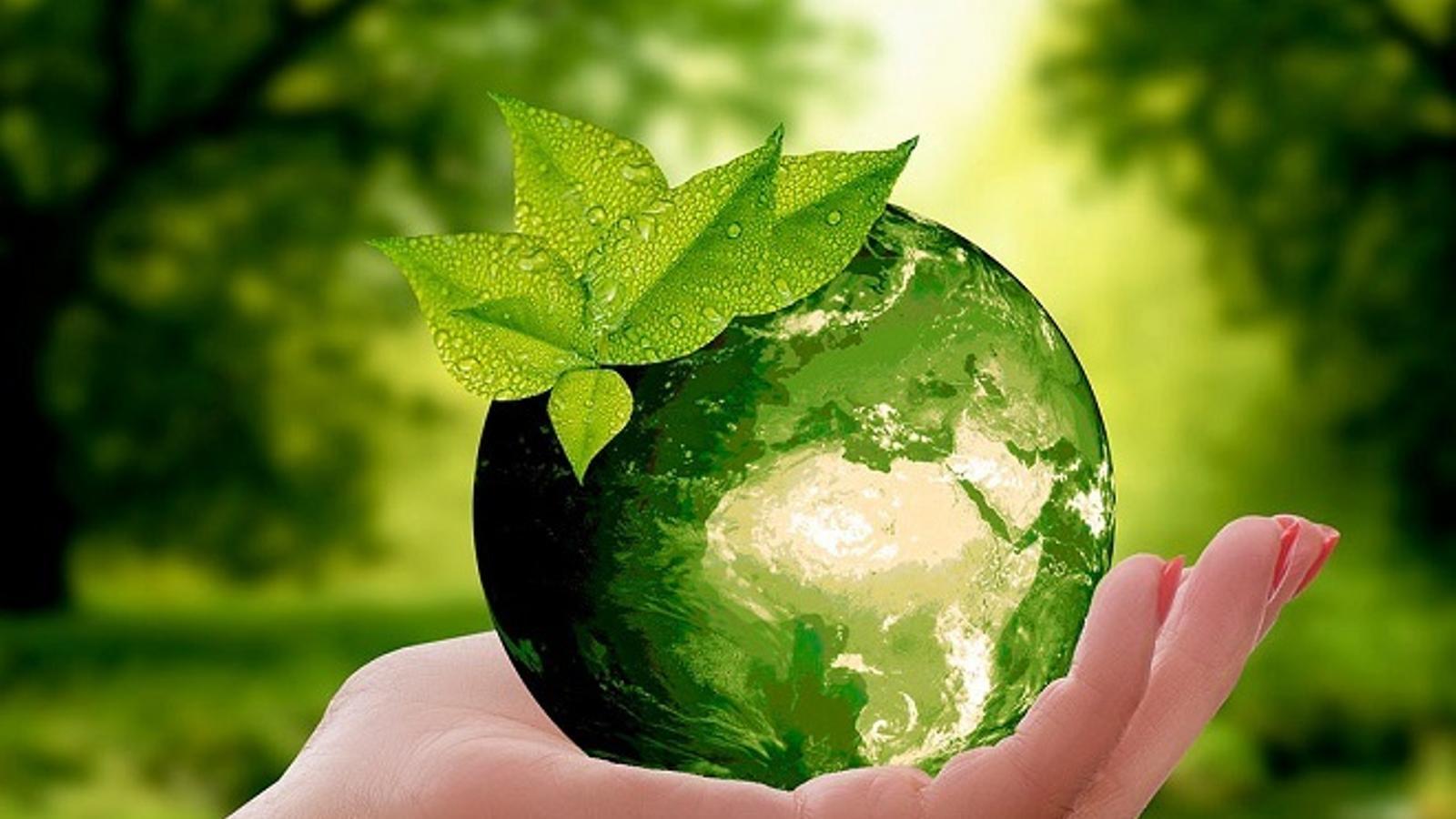 El gran consumo se conjura para impulsar una economía más sostenible - Archivo