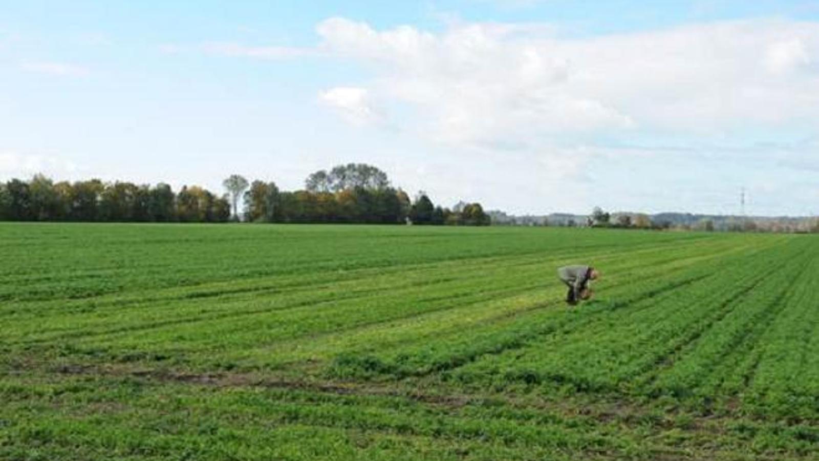 Unilever, Axa y Tikehau Capital fomentan la agricultura regenerativa
