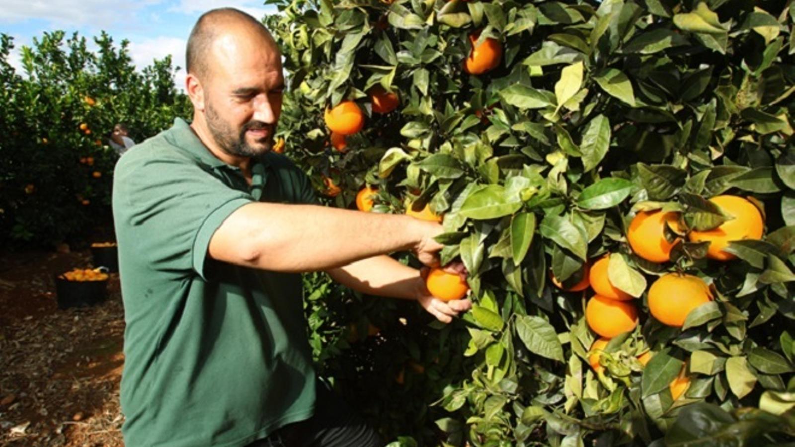 Agricultores y ganaderos pueden acogerse a una rebaja del 20% del IRPF