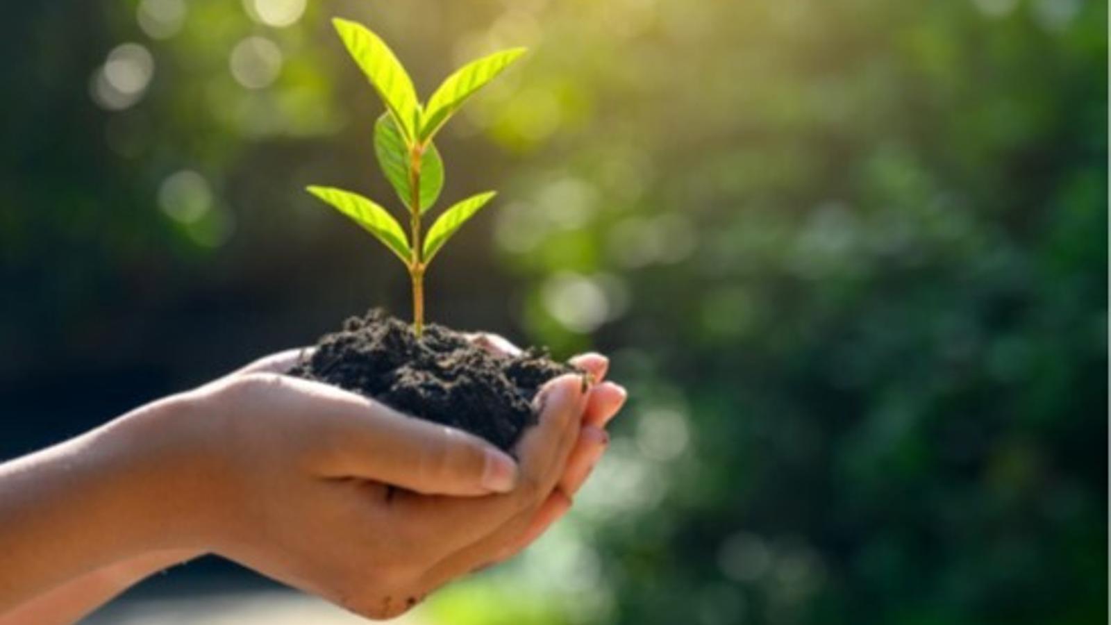 El 25 % de las emisiones de efecto invernadero proceden de la agricultura y del sistema alimentario - 