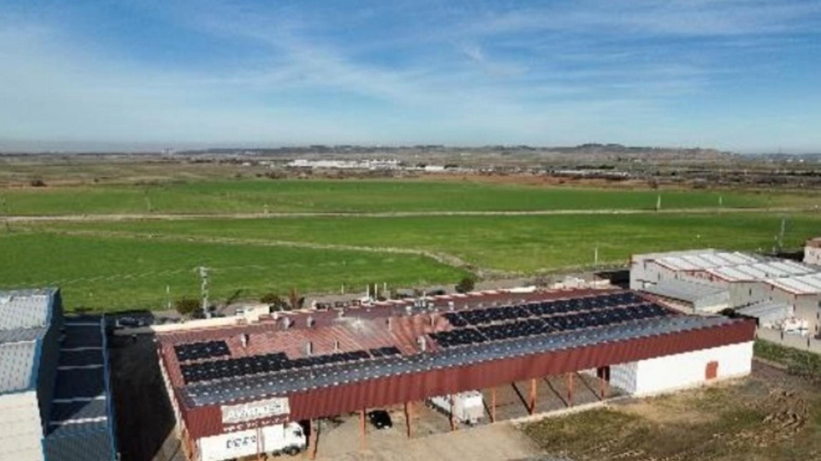 El sector avícola español refuerza su productividad gracias al autoconsumo solar