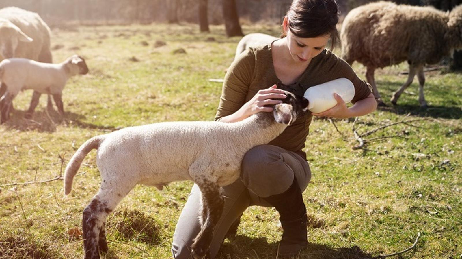 Nace Festival de Campo, una apuesta de ocio y gastronomía para gente muy campera
